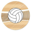 volleyball